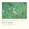 No. 014 Rain No. 014 Rain
