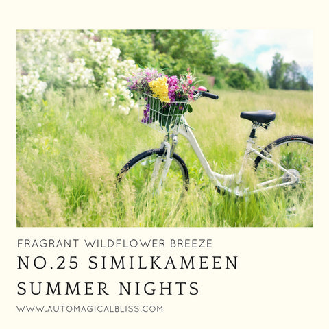 No. 025 Similkameen Summer Nights