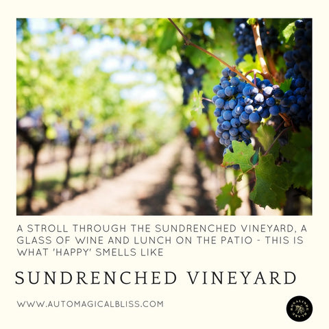 No. 037 Sundrenched Vineyard