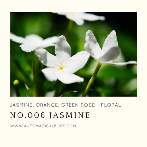 No. 006 Jasmine