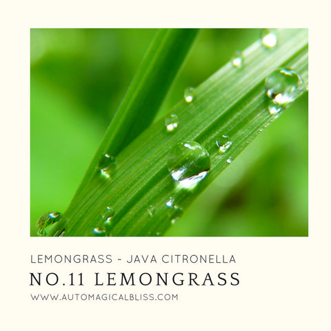 No. 011 Lemongrass