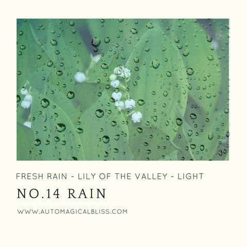 No. 014 Rain